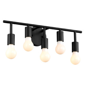 20inch (5 Lights) Vanity Light 60W E26